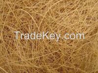 Bangladeshi High quallity coconut fiber