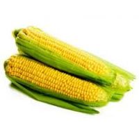 Yellow Corn