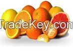 Baladi Orange For Juice