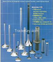 Engine Valve & Valve Set