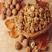 walnut kernels