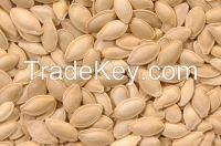Pumpkin Seeds