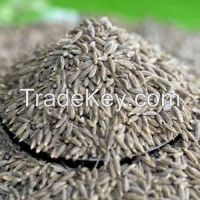 CUMIN SEEDS