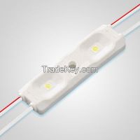 2 lights SMD2835 LED injection module