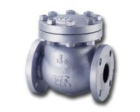 Swing Check Valve