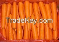 Fresh carrots