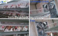 hot-sale good quality poultry farm layer chicken cage