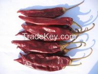 dried chili