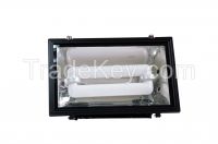 Induction Flood Light