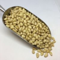 Premium Quality Pine Nuts Raw Natural Pine Nuts Perfect For Bulk Sale Healthy Snack And Organic Ingredients