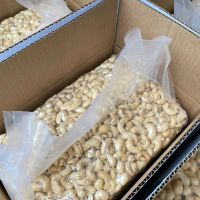 Premium Raw Cashew Nut High Quality Cashew Nut Bulk Supply Direct From Factory For Sale