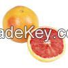 Fresh Citrus Fruit