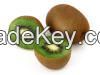 Fresh Kiwi Fruit