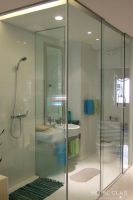 Glass Shower Room