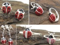CREATIVE NICE DESIGN LADYBUY EARRINGS AND