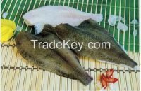 Fish Flounder