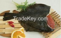 Fish Flounder