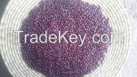 Organic Ethiopian Kidney Beans