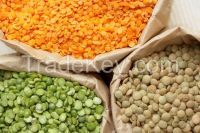 Lentils