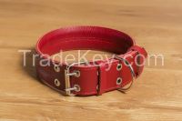 Dog collars &amp;amp;amp; leads