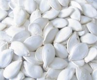 Salted Pumpkin Seeds in Shell