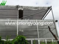 Glass Greenhouse Commercial Used