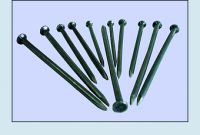 Nail,Common nail,Masonry Nail,Coil Nail and so on