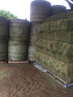 Lucerne Bales (Alfalfa Hay), Timothy Hay Bales