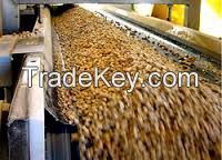 Mixer Wood Pellets