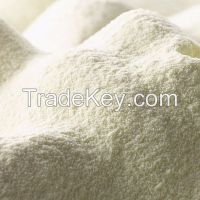 WHOLE MILK POWDER