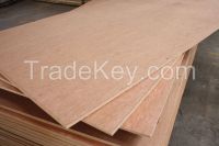  E1 grade 18mm bintangor plywood