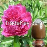 (ISOCert.) Paeonia lactiflora Pall Extract //Paeoniflorin 5%,10%,50%,99% 