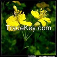 Chelerythrine 98%/Celandine Extract