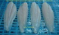 Pangasius/ Basa Well Trimmed Fillet