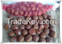 The Best Quality Natural Chinese Fresh chestnuts for Sale