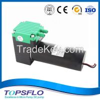 Topsflo TM40-E/F High pressure diaphragm brushless dc 12v ultrasonic cavitation system aesthetic device pressure air compressor pump