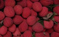  Litchi fruits