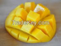 FRESH AND FROZEN MANGO FRUIT