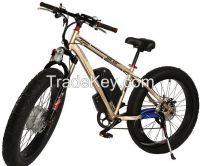 Electric Bicycles