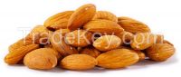 California Almond