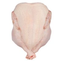 BRAZIL HALAL FROZEN WHOLE CHICKEN, FROZEN CHICKEN PAWS FROZEN PROCESSED CHICKEN FEET...