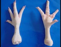 HALAL CLEAN GRADE A CHICKEN FEET / FROZEN CHICKEN PAWS BRAZIL 