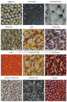 grain CCD color sorter