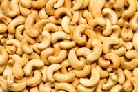 Cashew Nut