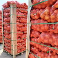 Onion, Fresh Onion, Dry Onion, onion