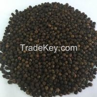 Vietnam Black Pepper Price 500G/L, 550G/L, 570G/L(Emma:+84965152844)