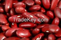 Red Kidney Beans,Kidney Beans,White Kidney Beans,Black Kidney Beans,Black Pepper,Fresh Onions,Blood Meal.