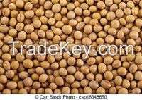 Organic soybean