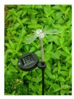 Solar Meadow Light