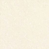 Porcelain polished tile